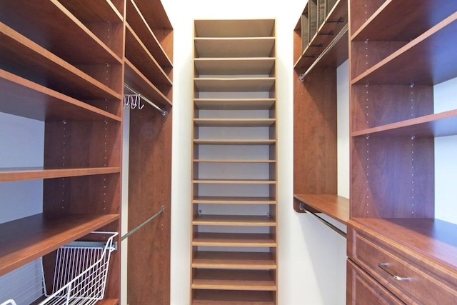 view of walk in closet