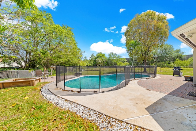 view of swimming pool featuring a patio area