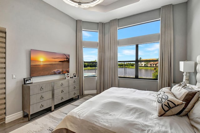 bedroom with wood-type flooring, multiple windows, and a raised ceiling