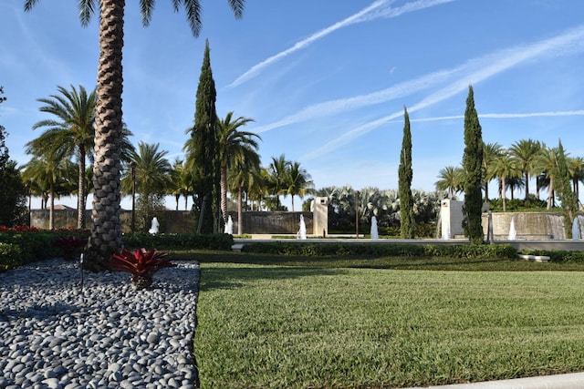 view of property's community with a lawn