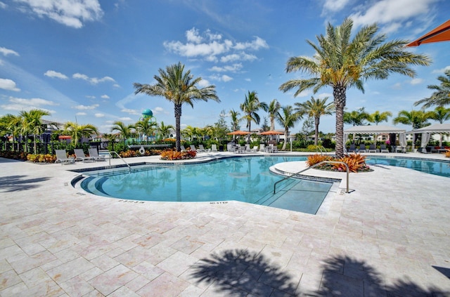 view of pool with a patio area