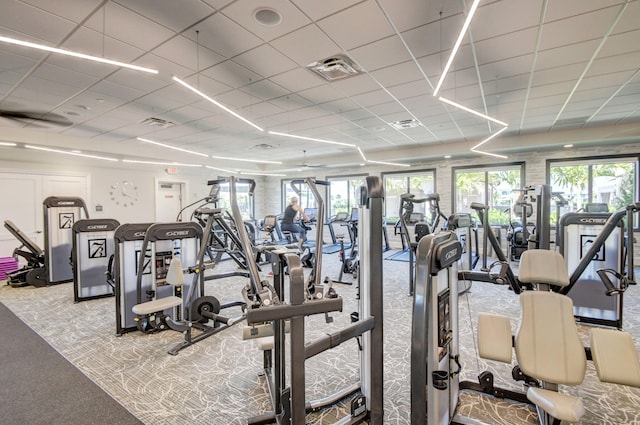 workout area featuring light carpet and a drop ceiling