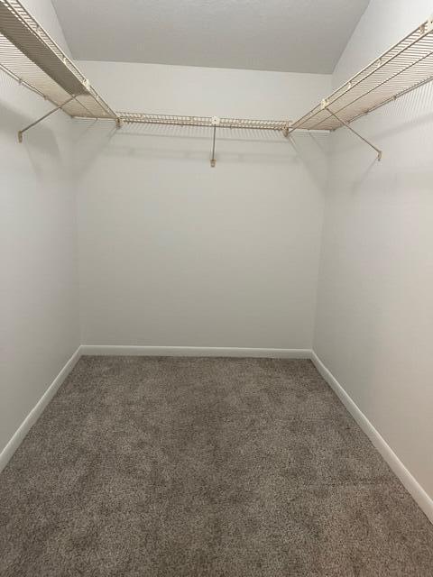 spacious closet with dark carpet