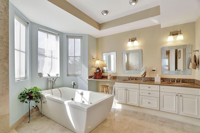 bathroom featuring a raised ceiling, a bathing tub, and vanity