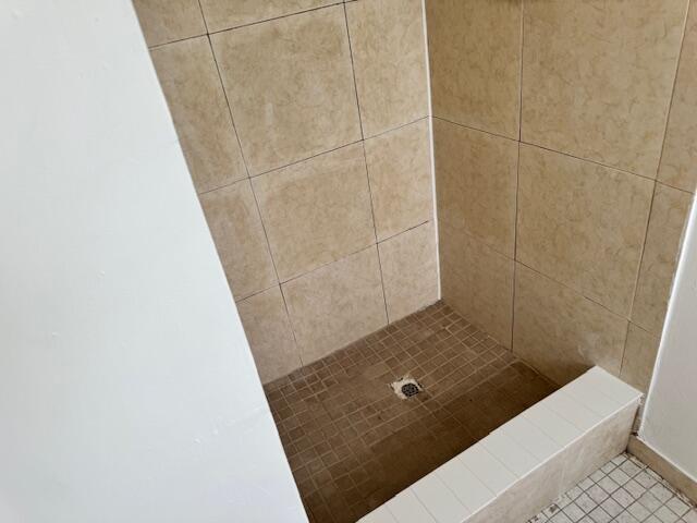 room details with a tile shower