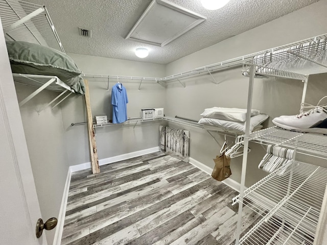 spacious closet featuring wood-type flooring