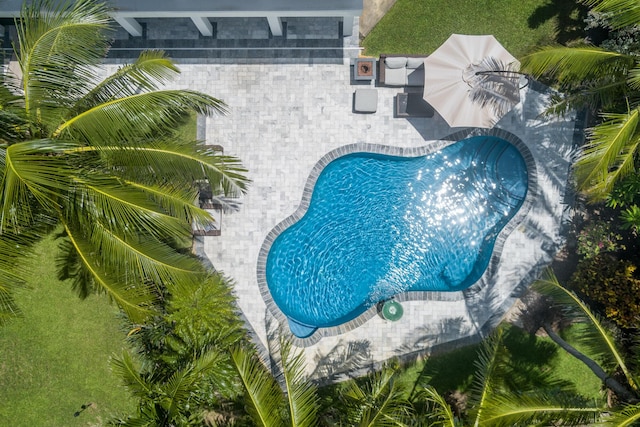 view of swimming pool