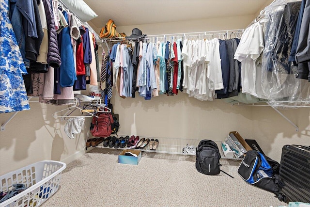 walk in closet with carpet