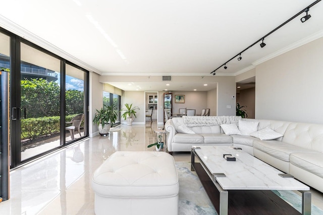 living room featuring expansive windows, ornamental molding, and track lighting