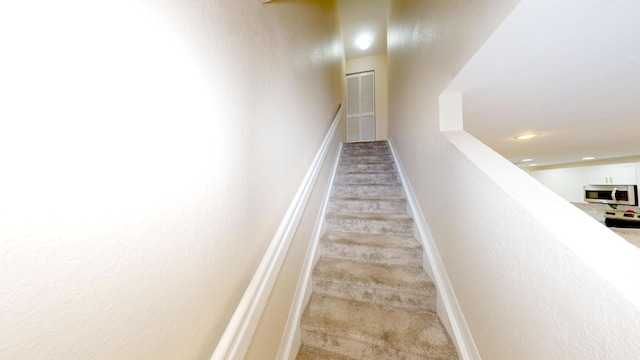 stairway featuring carpet floors