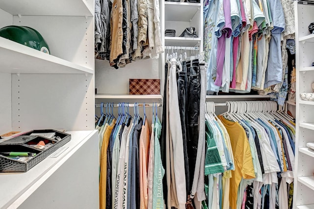 view of spacious closet