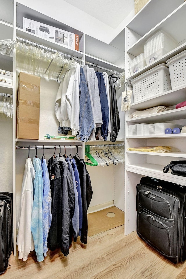 walk in closet with wood-type flooring