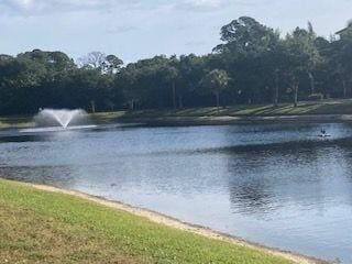 view of water feature