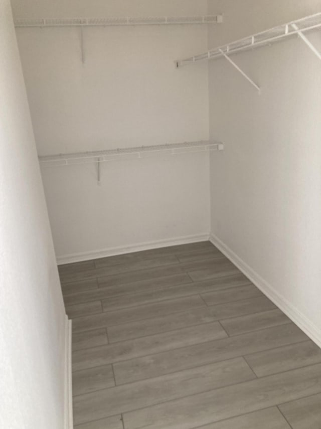 spacious closet with hardwood / wood-style floors