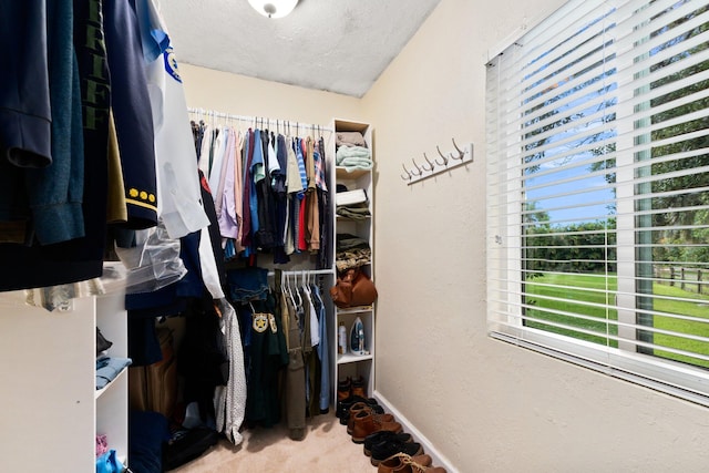 walk in closet featuring light colored carpet