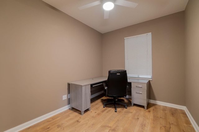 office space featuring light hardwood / wood-style floors and ceiling fan