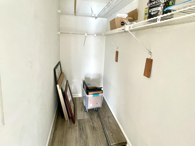 spacious closet featuring hardwood / wood-style flooring