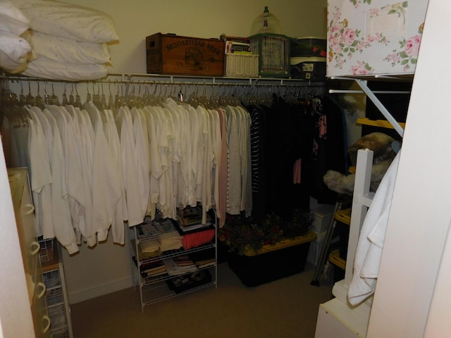 spacious closet featuring carpet floors