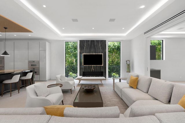 living room featuring a raised ceiling