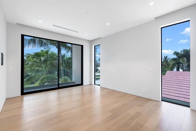 spare room with light hardwood / wood-style floors and plenty of natural light