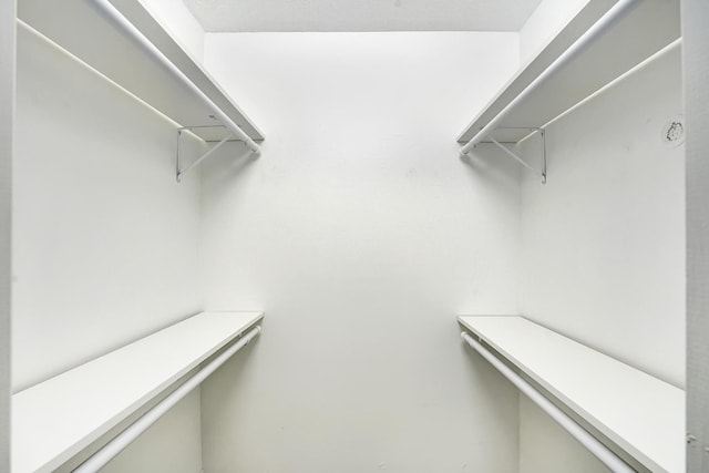 view of walk in closet