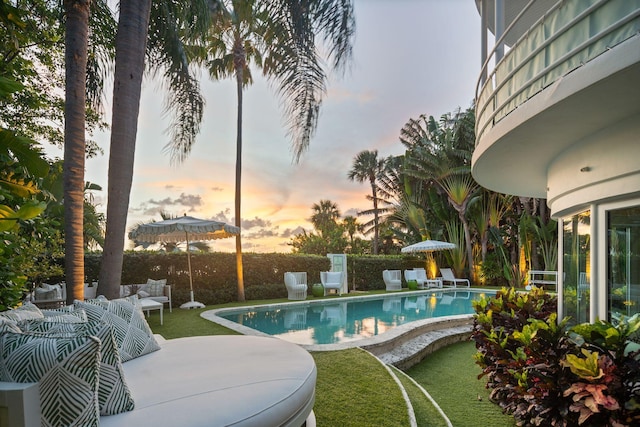 pool at dusk with a yard and a patio