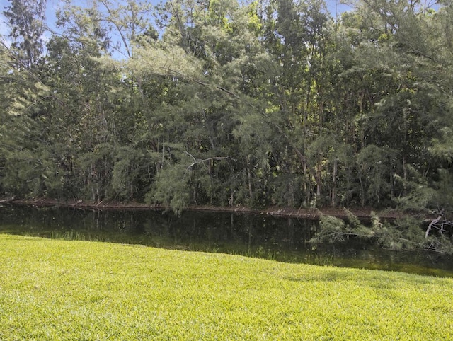 view of yard featuring a water view