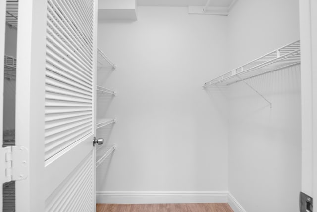 spacious closet with wood-type flooring