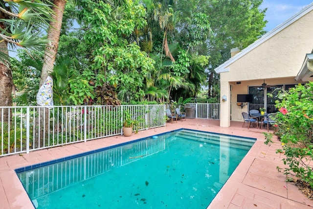 view of swimming pool with a patio and ceiling fan