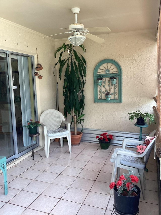 view of patio / terrace with ceiling fan