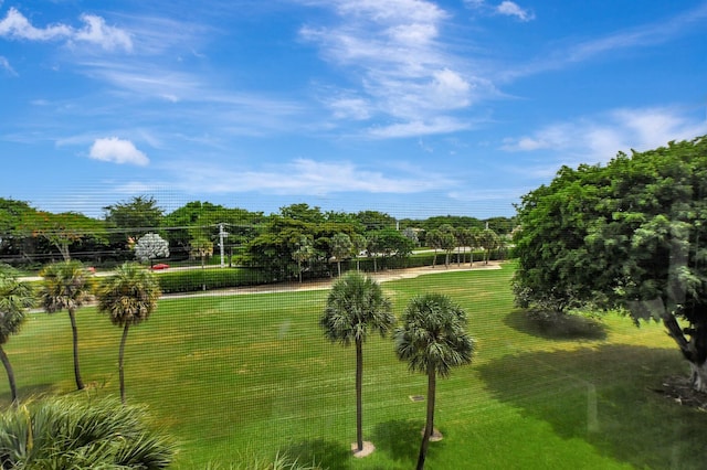 view of property's community with a yard