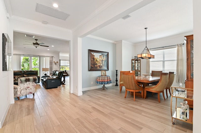 dining room with ornamental molding, ceiling fan, and light wood-type flooring