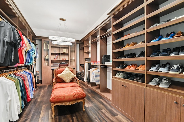 walk in closet with an inviting chandelier and dark wood-type flooring