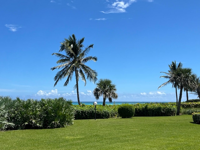 view of yard featuring a water view