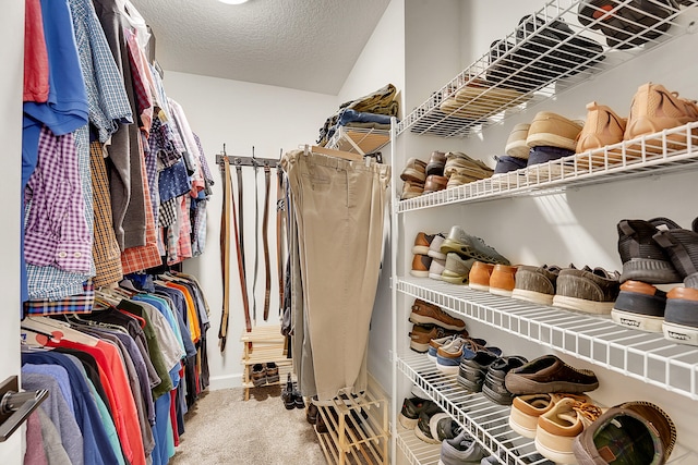 spacious closet featuring carpet floors