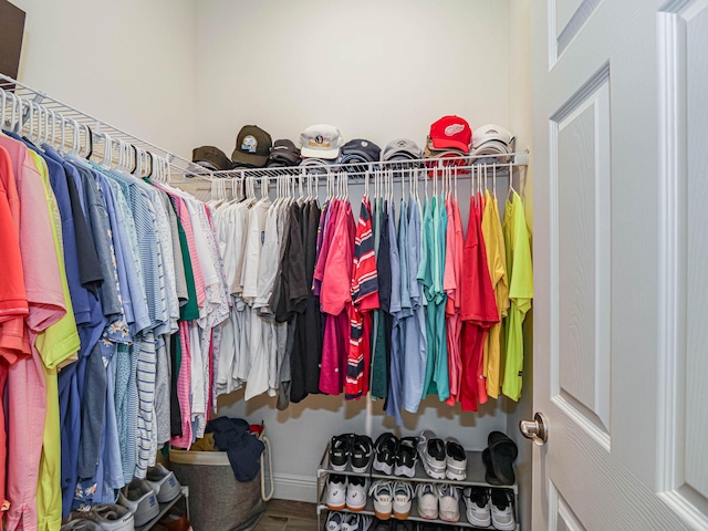 spacious closet featuring wood-type flooring