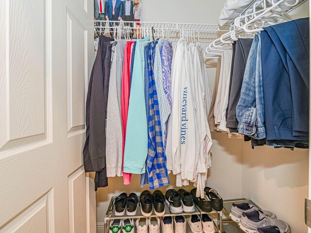 view of walk in closet