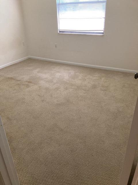 unfurnished room with light colored carpet and a healthy amount of sunlight