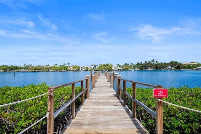 dock area with a water view