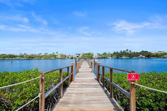 dock area featuring a water view