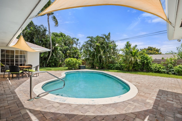 view of swimming pool with a patio area