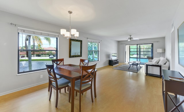 dining space with light hardwood / wood-style flooring and ceiling fan with notable chandelier