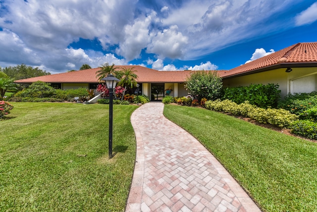 ranch-style home with a front yard