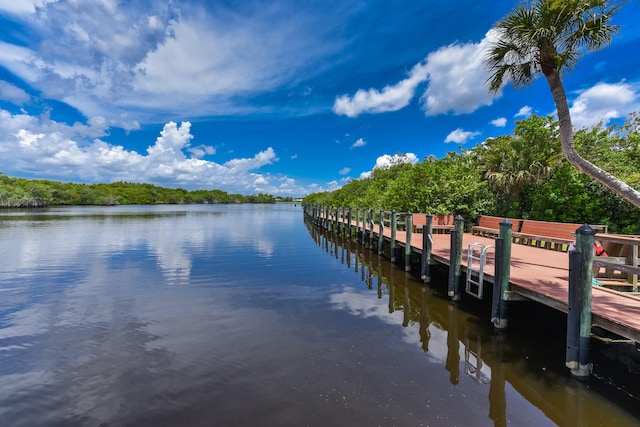 dock area featuring a water view