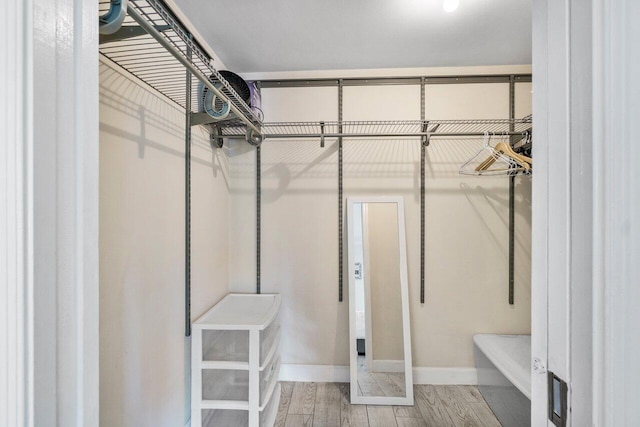 walk in closet featuring wood-type flooring