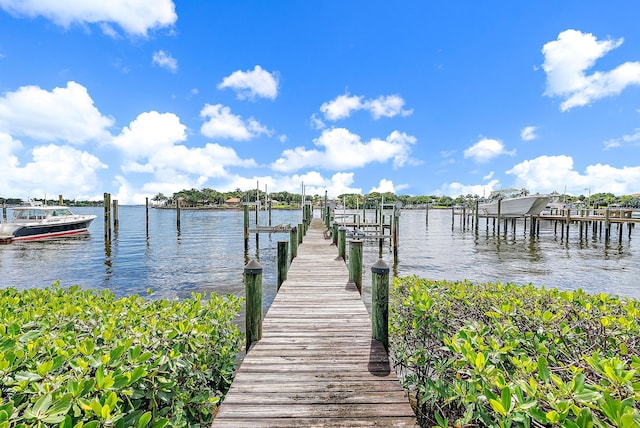 dock area with a water view