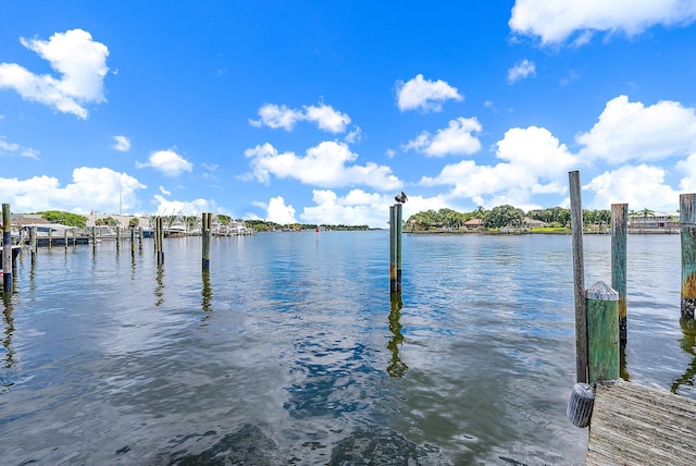 dock area with a water view