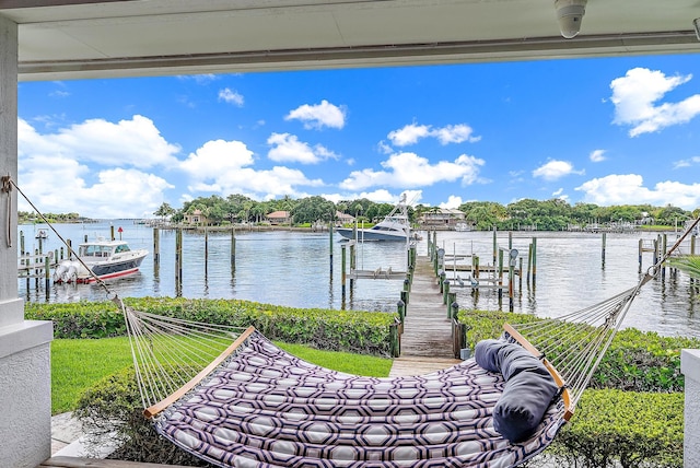 dock area with a water view