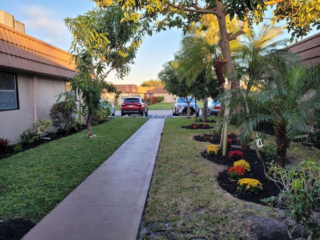 view of yard at dusk