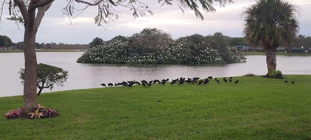 property view of water